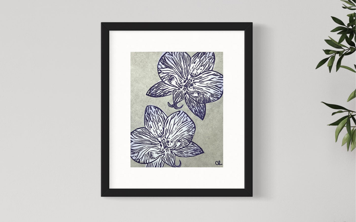 'Tiger Stripe Orchid' in Lilac Purple