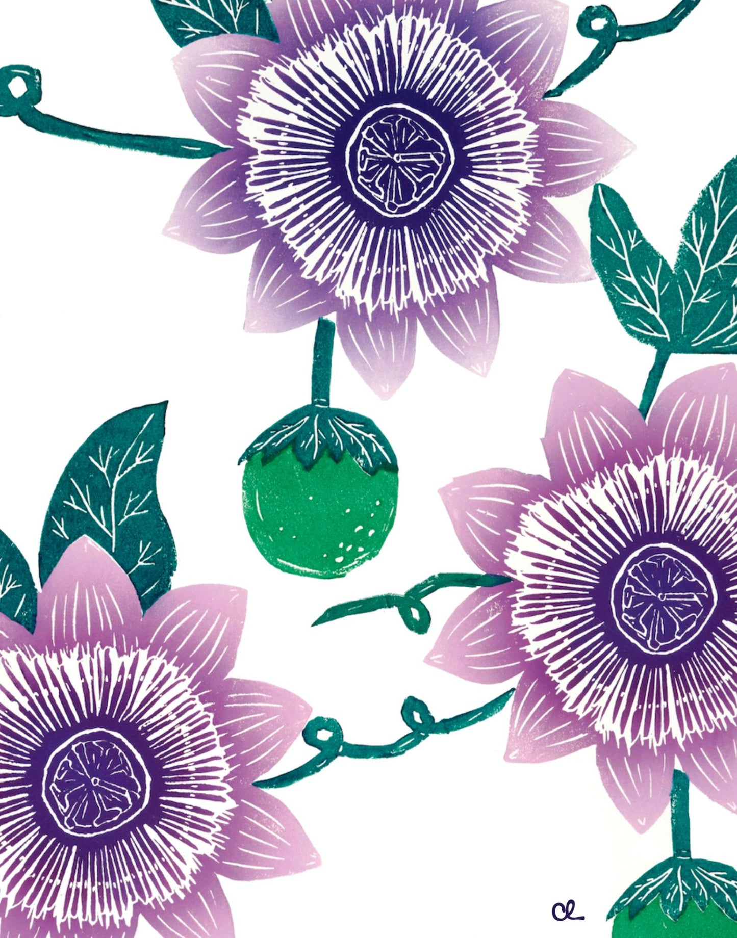'Lilikoʻi and Her Flowers', Passionfruit