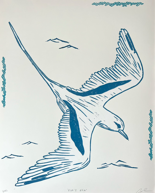 'Koaʻe Kea' in Blue