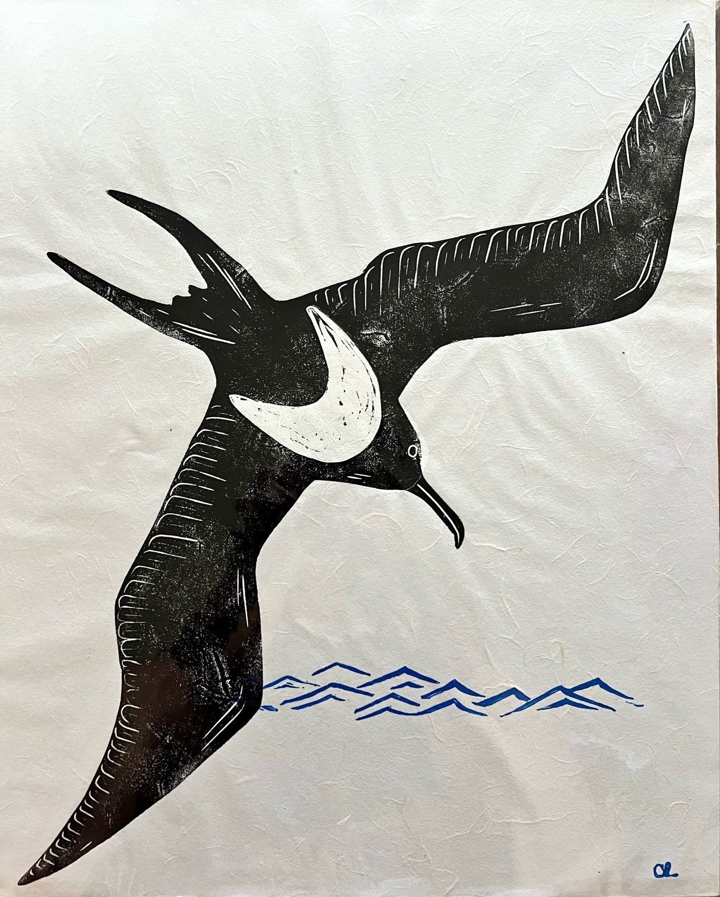 'ʻIwa Bird'