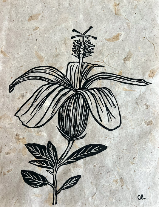 'Kokiʻo ʻulaʻula'