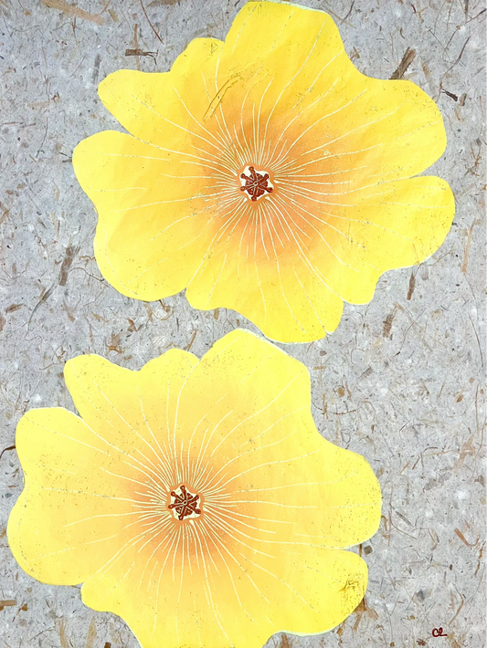 'ʻIlima'