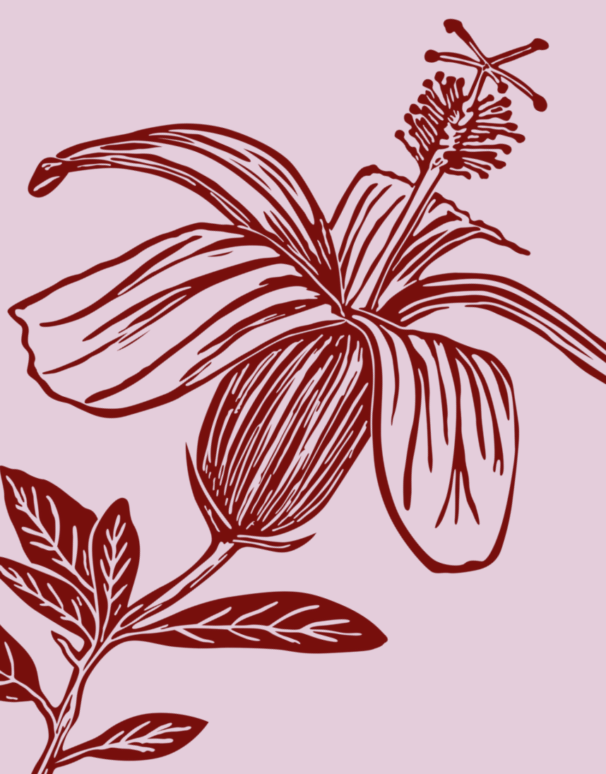 'Kokiʻio ʻulaʻula' Greeting Card