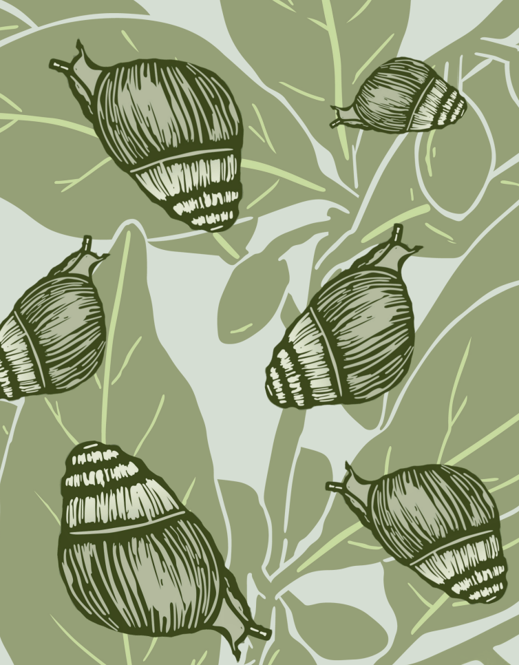 'Kāhuli on Olopua' Greeting Card